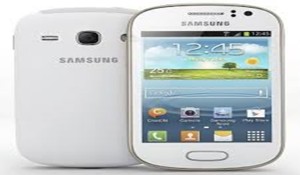 Samsung Galaxy Young s6310